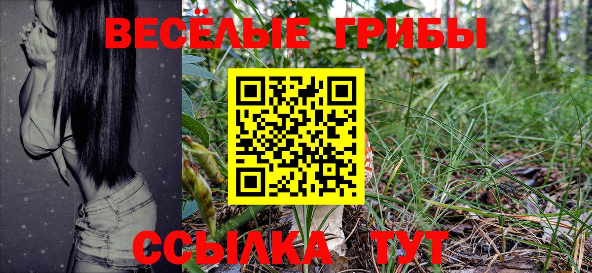 Галлюциногенные грибы MAGIC MUSHROOMS  Псилоцибиновые грибы Psilocybine cubensis  Вход с VPN  Нарткала 