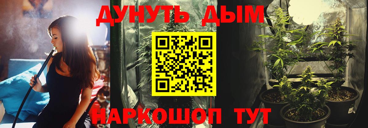 Бошки Шишки Amnesia  Конопля Bruce Banner  Марихуана марихуана  Бошки марихуана планчик  Нарткала  Вход с VPN 